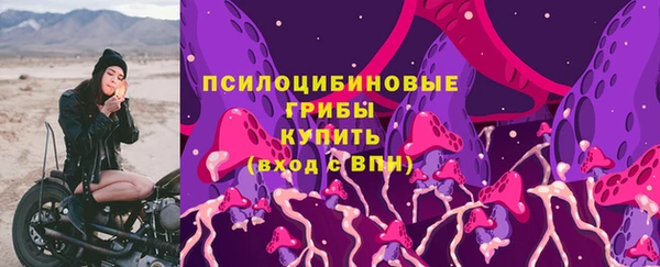 ECSTASY Нея
