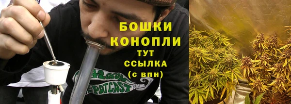 шишки Михайловск