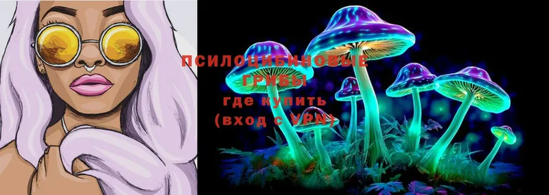 Псилоцибиновые грибы MAGIC MUSHROOMS  Лебедянь 